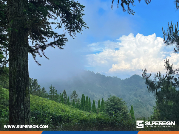 SUPEREGN Team’s Wuyuan Journey: Cultivating Culture and Camaraderie